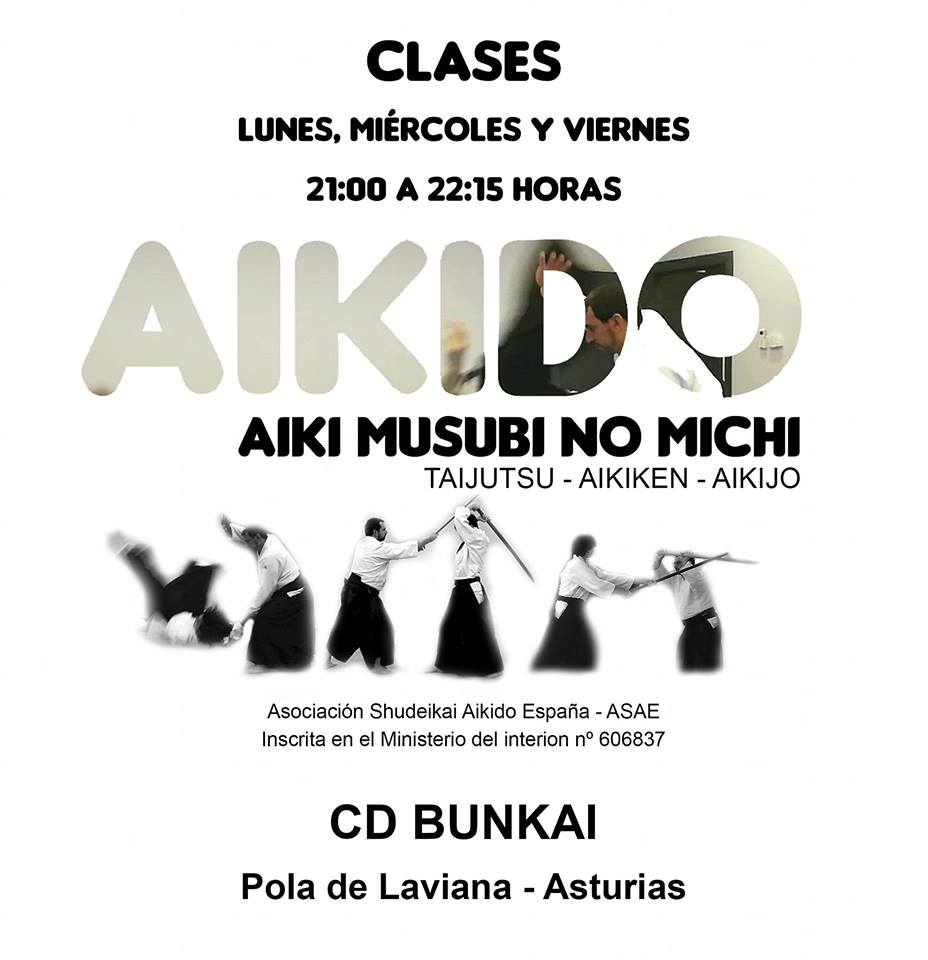 aikido laviana aikido laviana